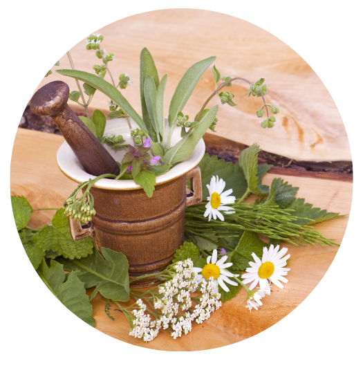 about-Ayurvedic